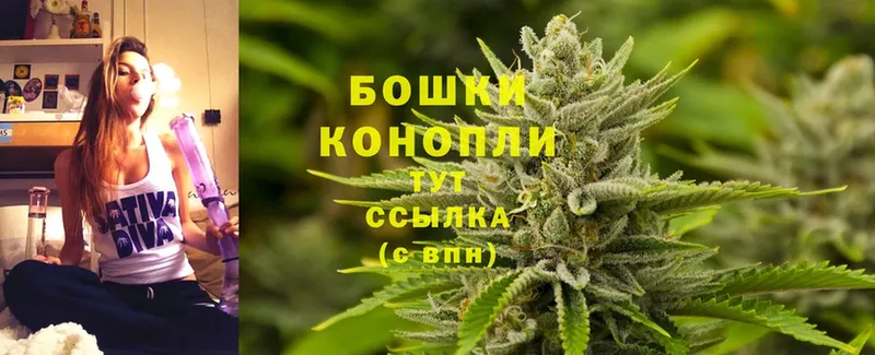 Канабис THC 21%  закладка  Вичуга 